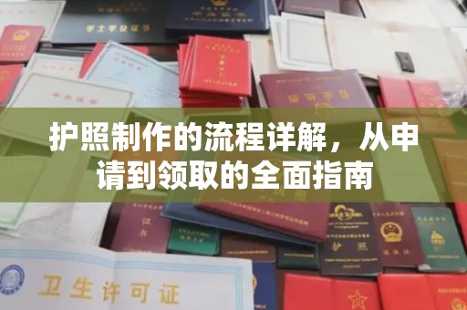 苍溪护照制作的流程详解，从申请到领取的全面指南