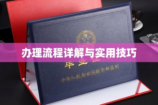 苍溪办理流程详解与实用技巧