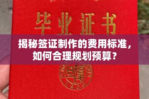 苍溪揭秘签证制作的费用标准，如何合理规划预算？