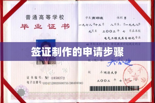苍溪签证制作的申请步骤