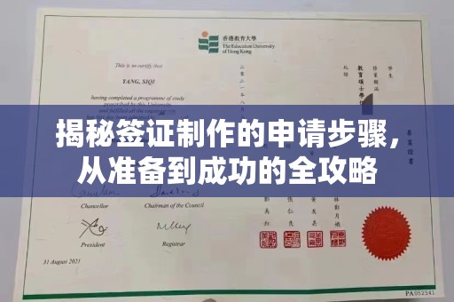 苍溪揭秘签证制作的申请步骤，从准备到成功的全攻略
