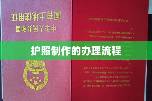 苍溪护照制作的办理流程