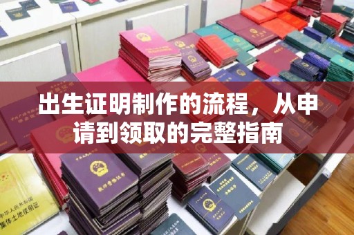 苍溪出生证明制作的流程，从申请到领取的完整指南
