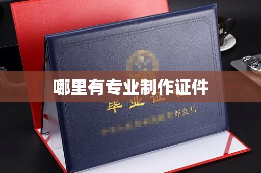苍溪哪里有专业制作证件