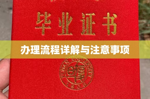 苍溪办理流程详解与注意事项
